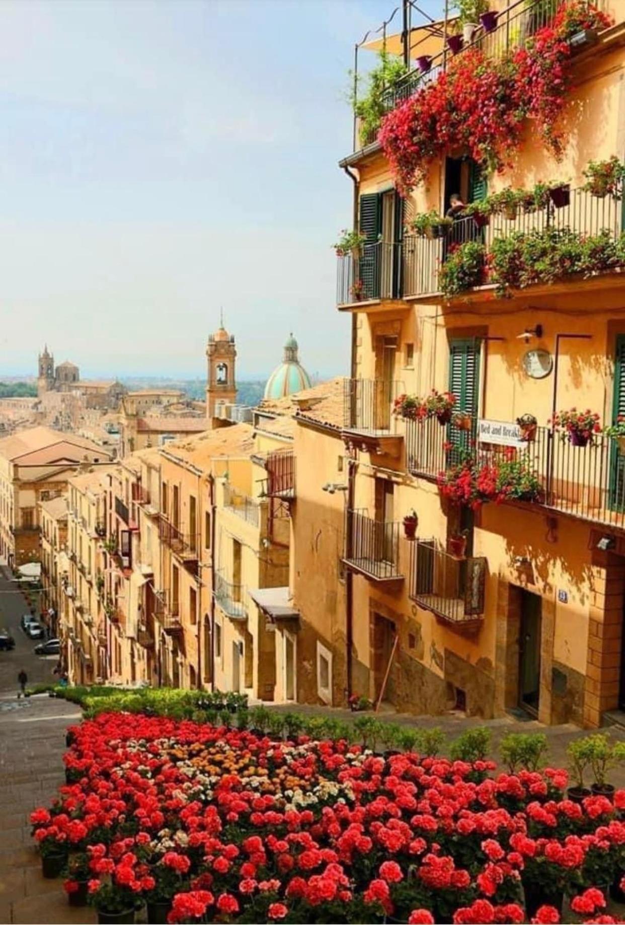 Casa Tipica Siciliana Patronale Home Bedandbreakfast Tremetrisoprailcielo Camere Con Vista, Colazione Interna In Terrazzo Panoramico Caltagirone Ngoại thất bức ảnh